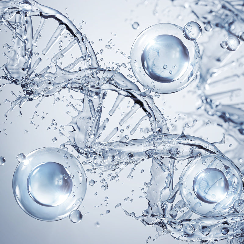 Hyaluronic Acid